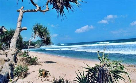 Keindahan Pantai-pantai di Lampung yang Belum Terjamah Wisatawan