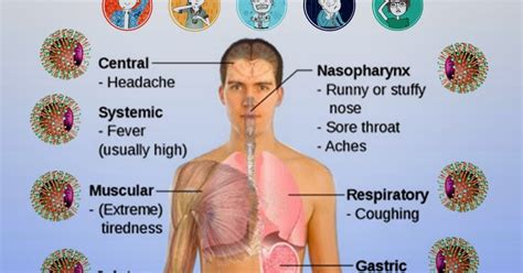 Mengenali Perbedaan Antara Flu Biasa dan ISPA