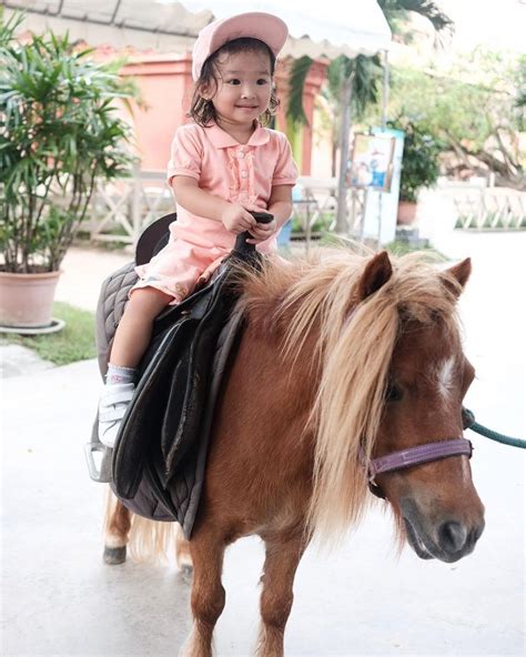Anak Kuda yang Lucu dan Menggemaskan: Potret Kehidupan Awal Kuda yang Harus Anda Lihat