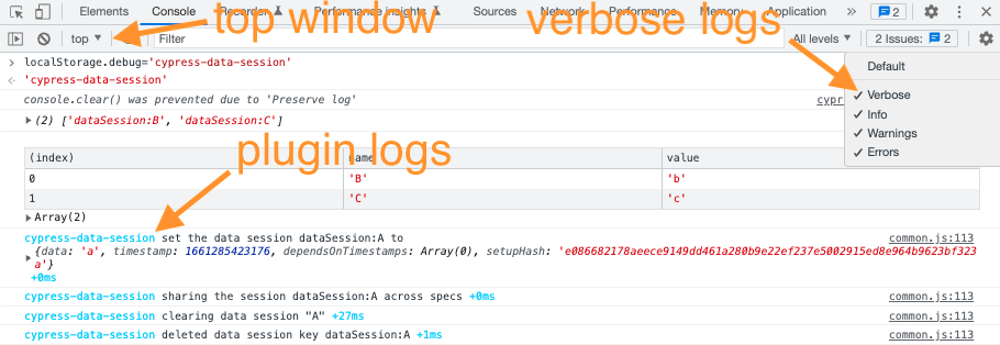 Showing the debug logs in the browser