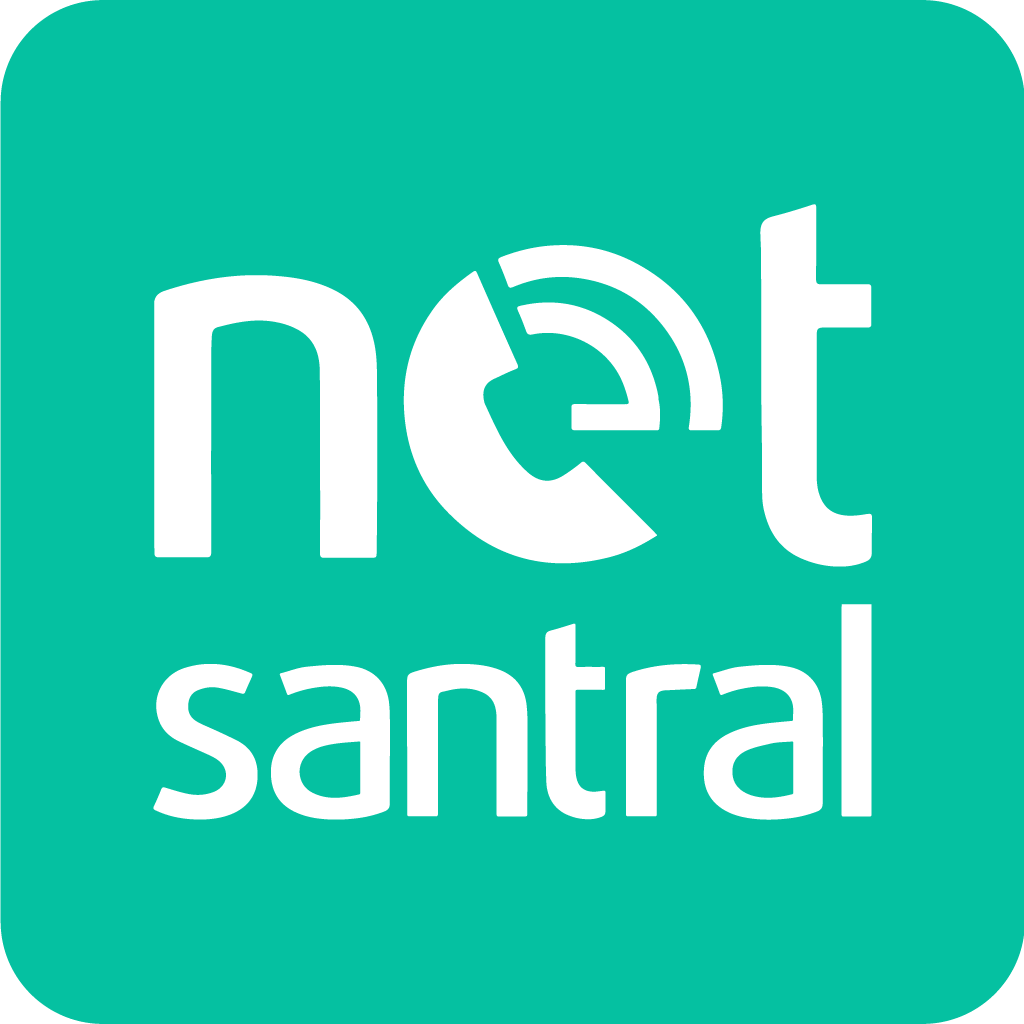 Netsantral Logo