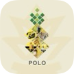 Polo(4)
