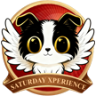 SaturDayXperiencecat