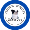 SaturDayPro