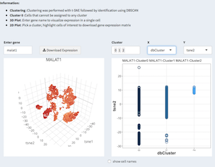 screen shot of the pheatmap page