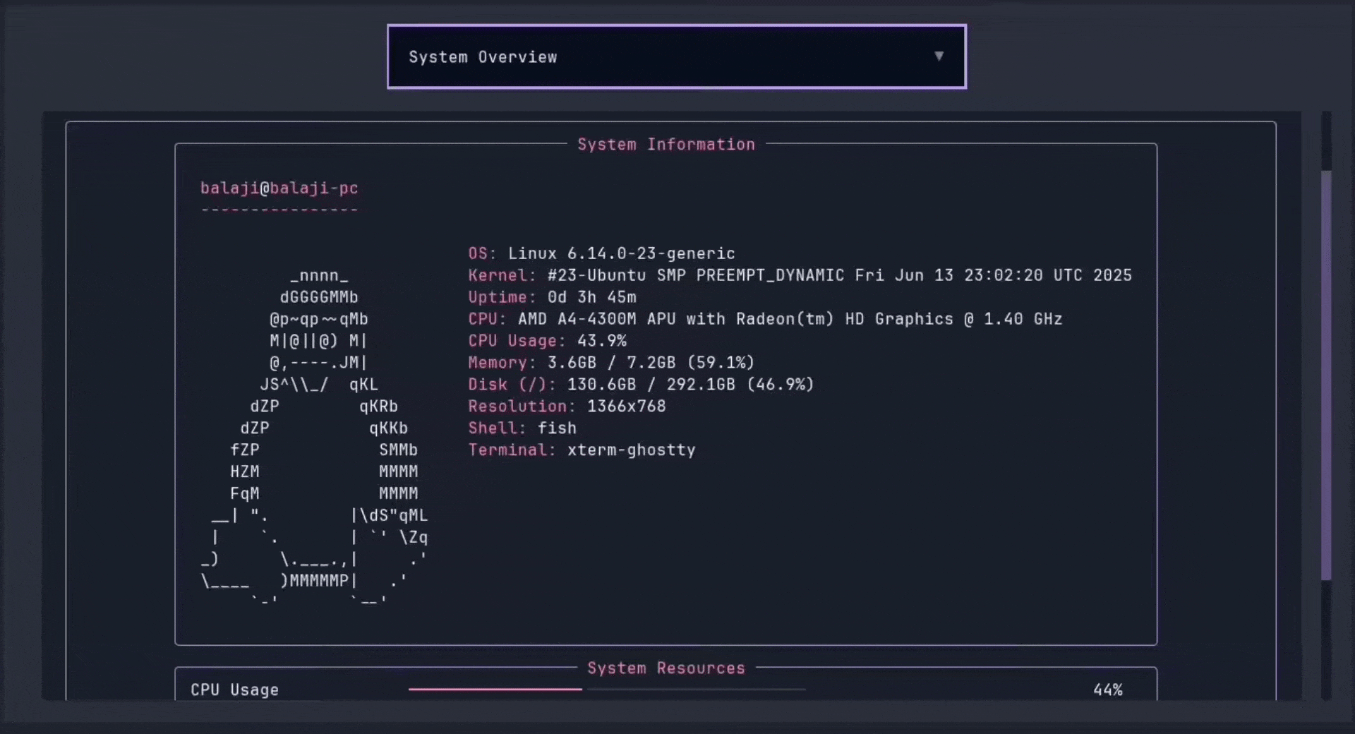 Widgets Demo