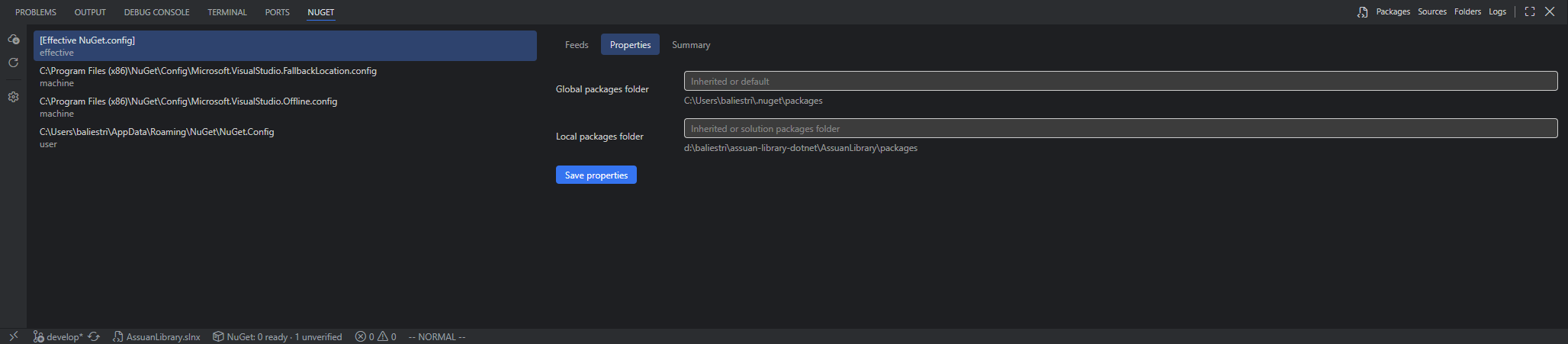 NuGet configuration properties