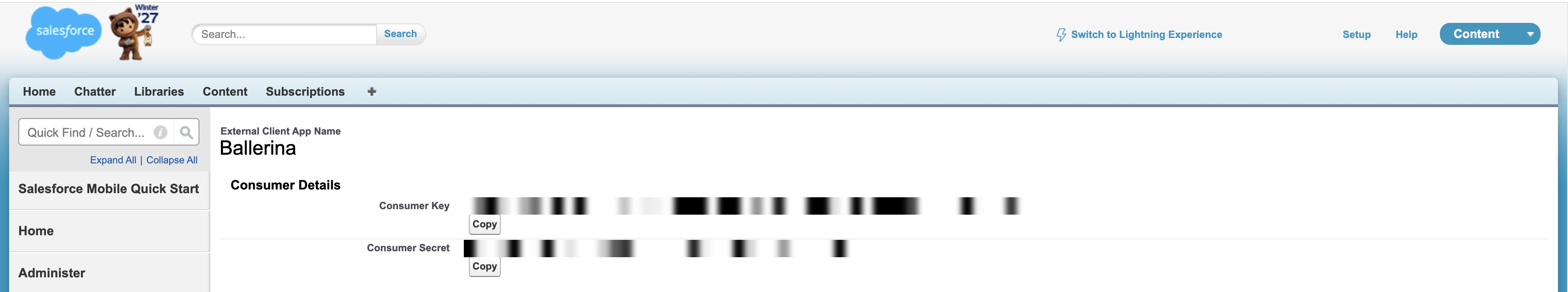 Copy the consumer key and secret