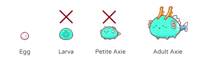 Axie life stages