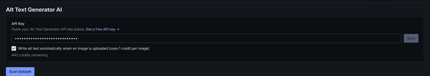 Settings with the automatic alt text checkbox turned on