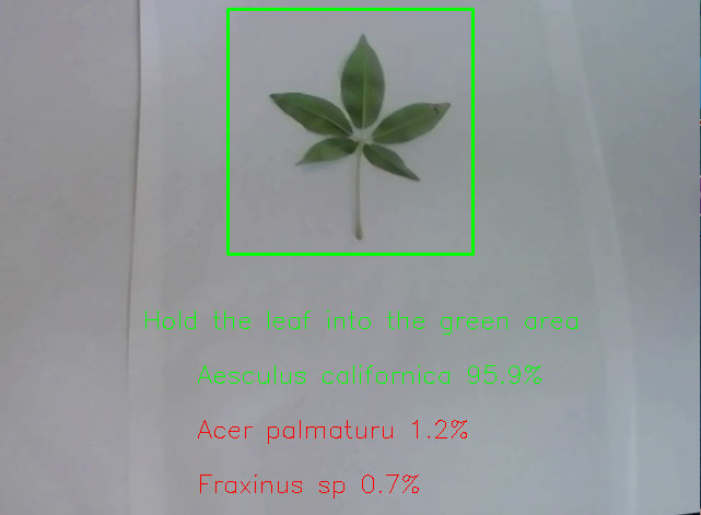 leaf_example
