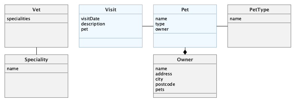 Jmix Petclinic Domain model