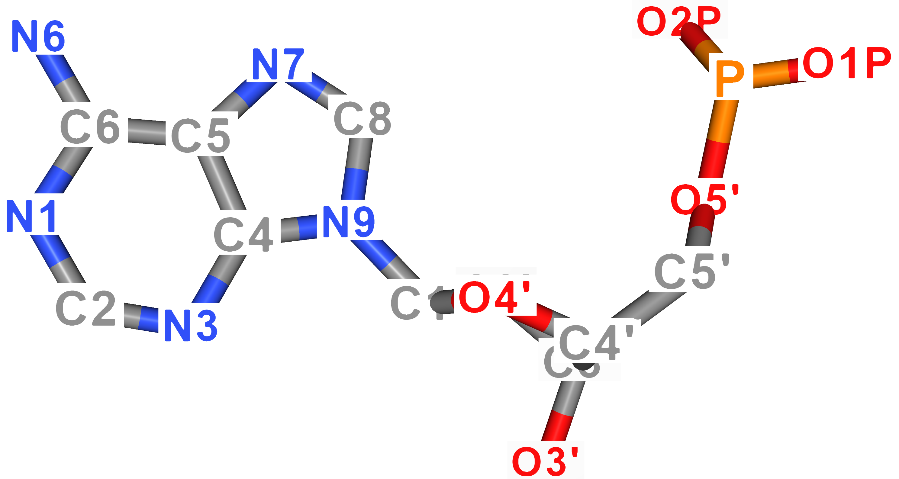 Adenine