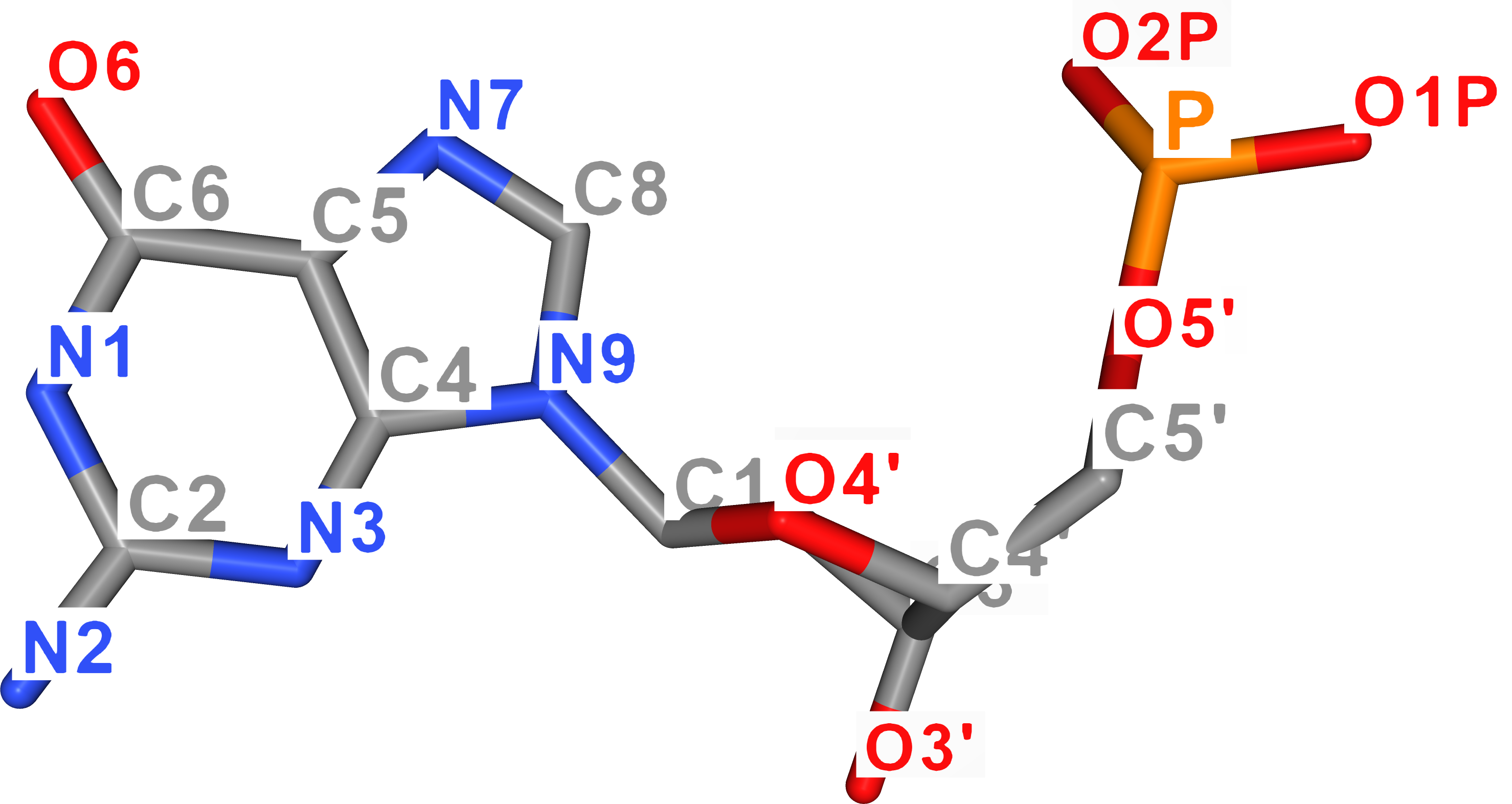 Guanine