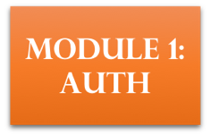 module 1