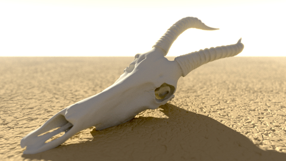 Damaliscus Korrigum skull ray traced in Golang (Go), with volumetric scattering