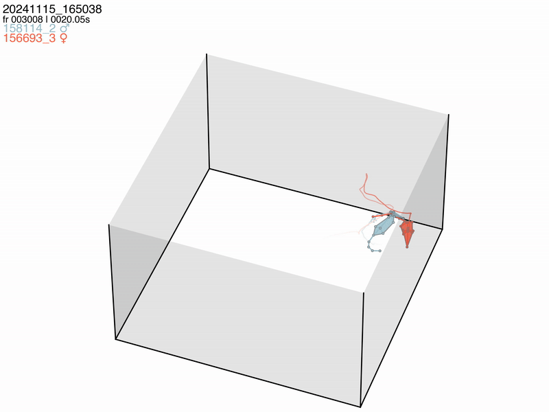 Behavior video example 1