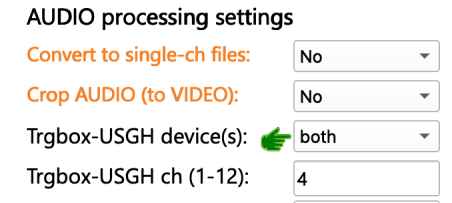 Processing Step 9b