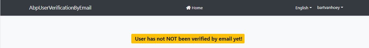 User has not been email verified yet