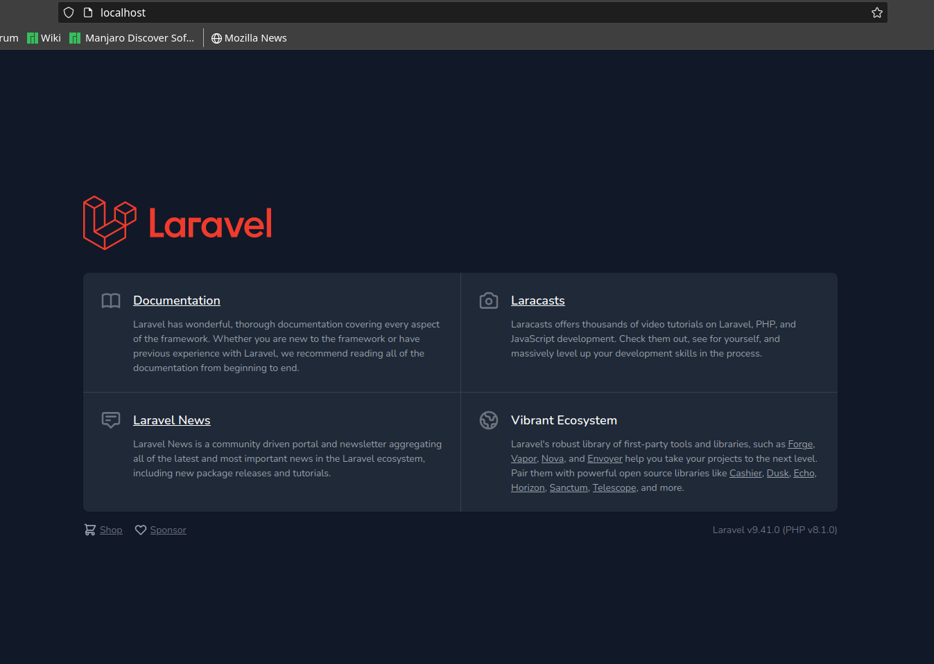 Laravel image