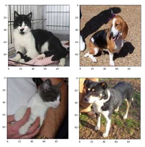 Image Classification CNN cat and dog