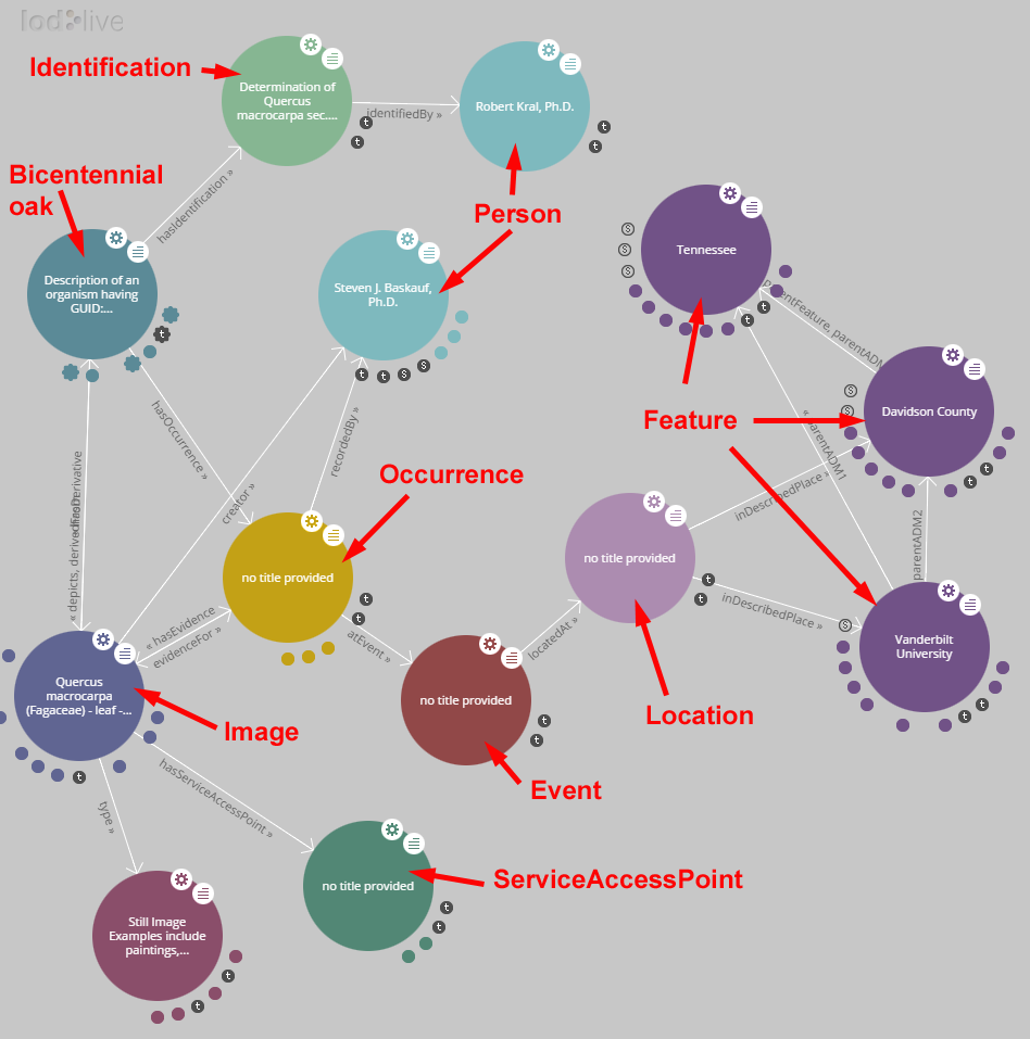 lodlive graph