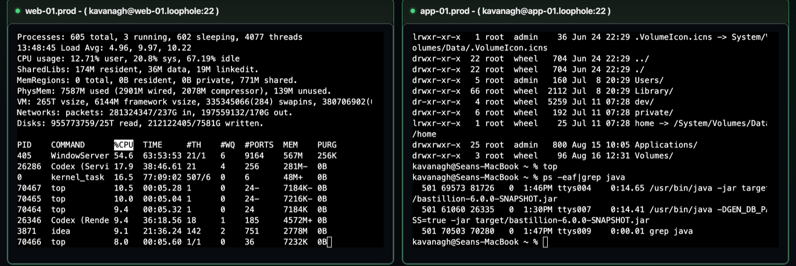 Multiple terminals broadcasting the same command to three hosts at once