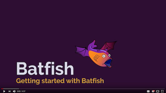 Getting to know Batfish