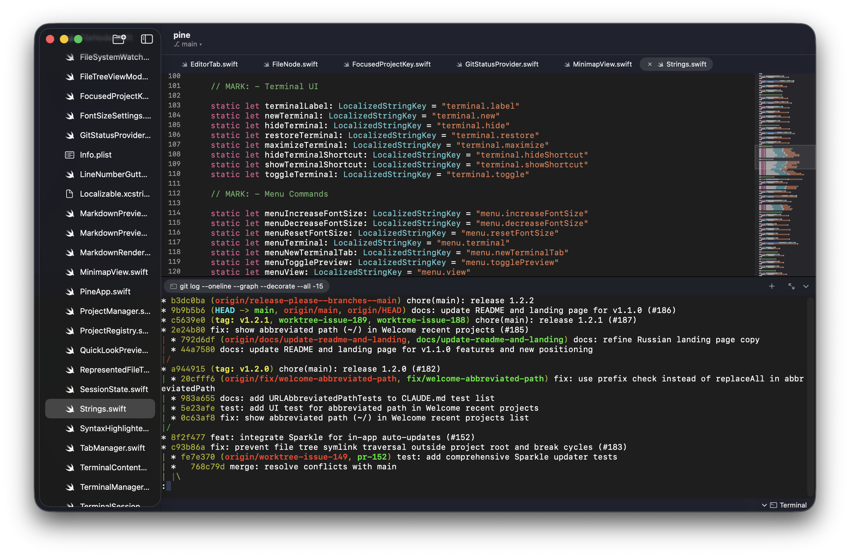 Pine built-in terminal