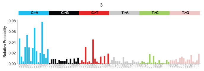 "Figure 29: Signature extraction. APOBEC. AF 0.02 - 0.05"