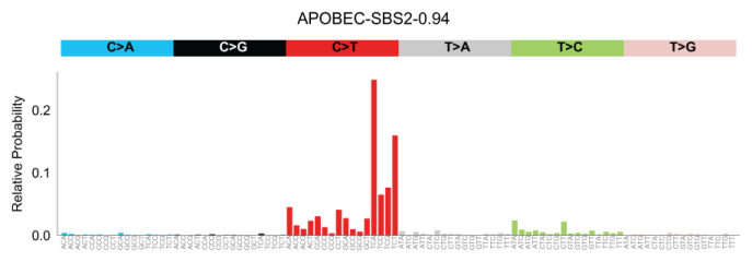 "Figure 26: Signature extraction. SBS2, APOBEC. AF 0.02 - 0.05"