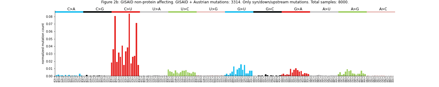 "Figure 2b: GISAID non-protein affecting."