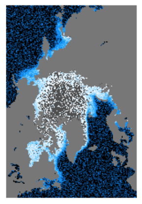 temporal convolution only