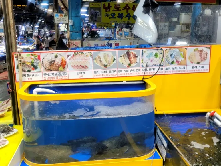 刺身メニューと活魚の水槽