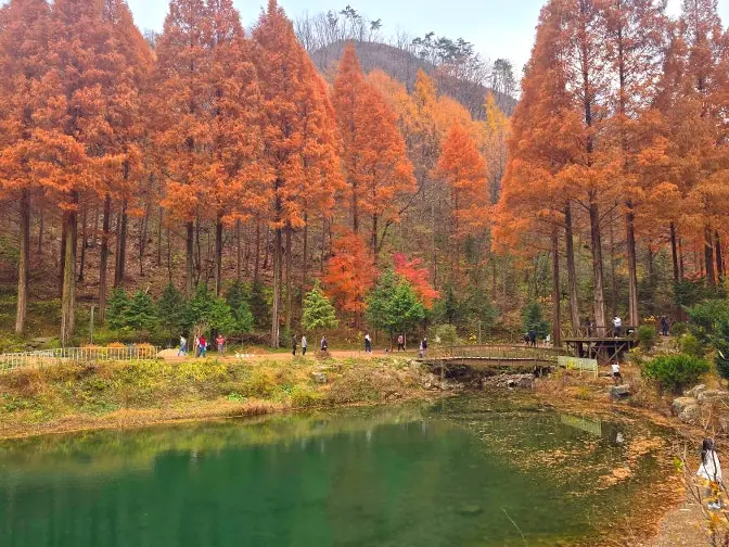 Onbit Recreation Forest autumn panorama lake
