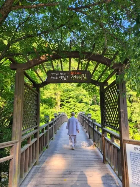 Monk walking through temple gate