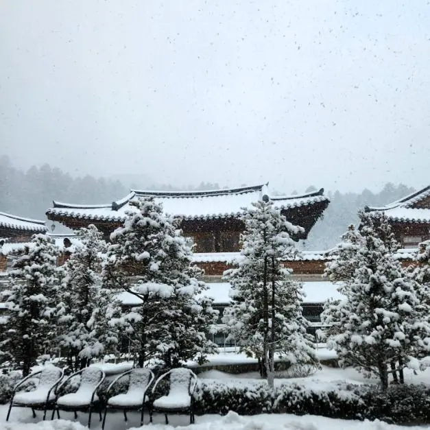 Winter snow scene at Woljeongsa
