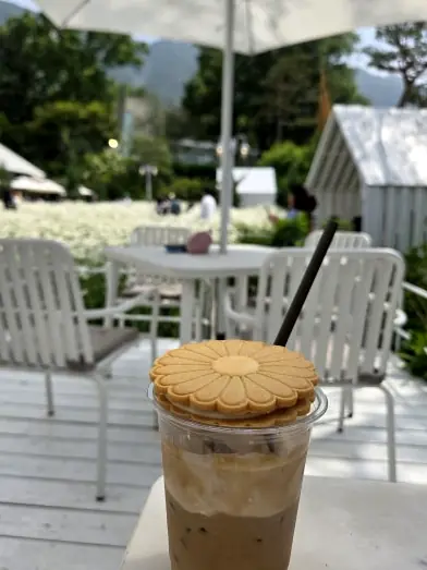 Iced coffee with daisy cookie