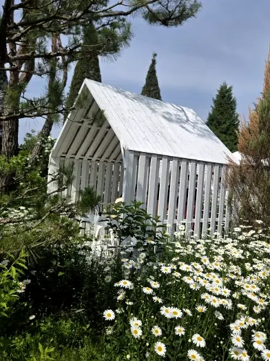 White wooden hut in flowers