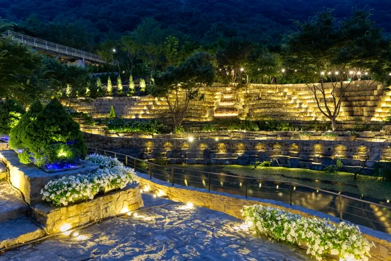 Illuminated stone garden paths at night
