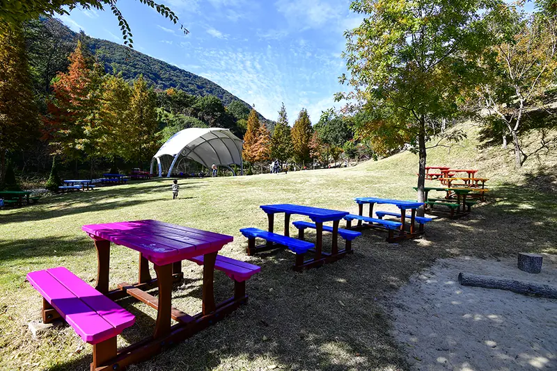 Colorful picnic tables on green field