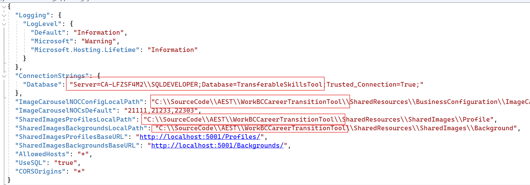 Screenshot of config file appsettings.json highlighting changes to be made.