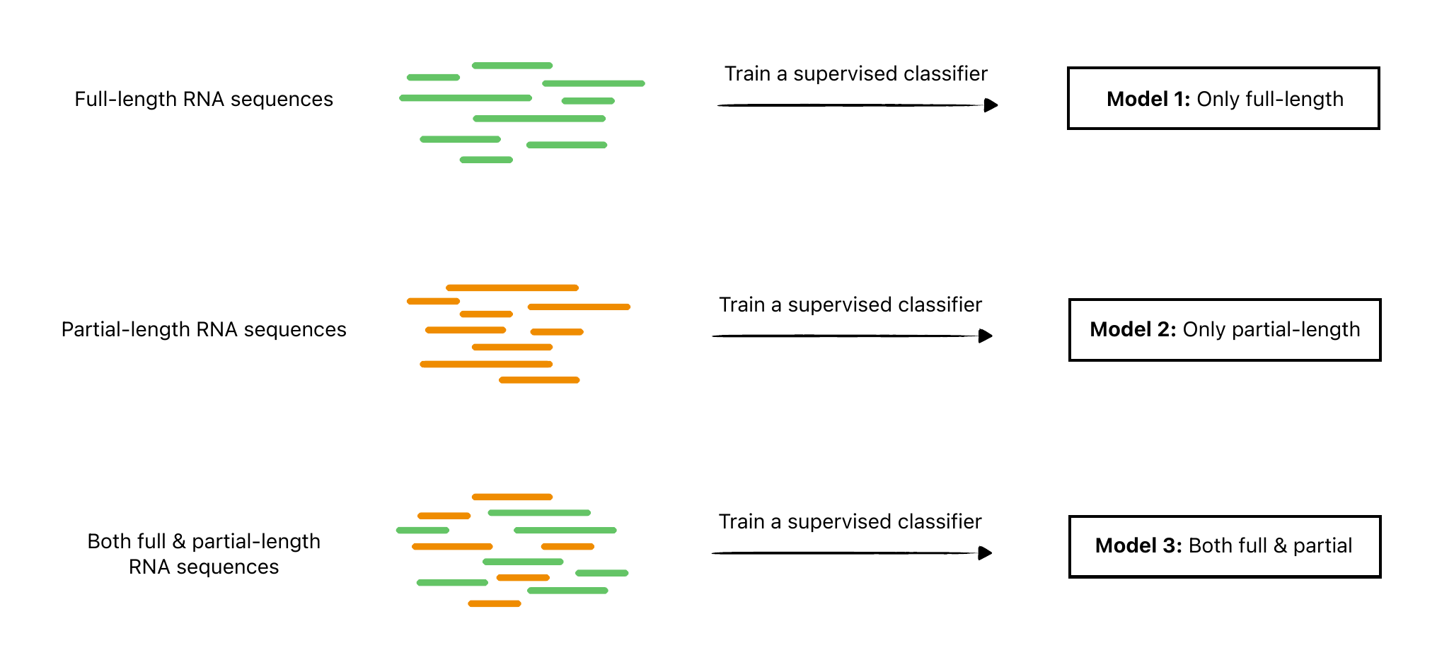 embedding