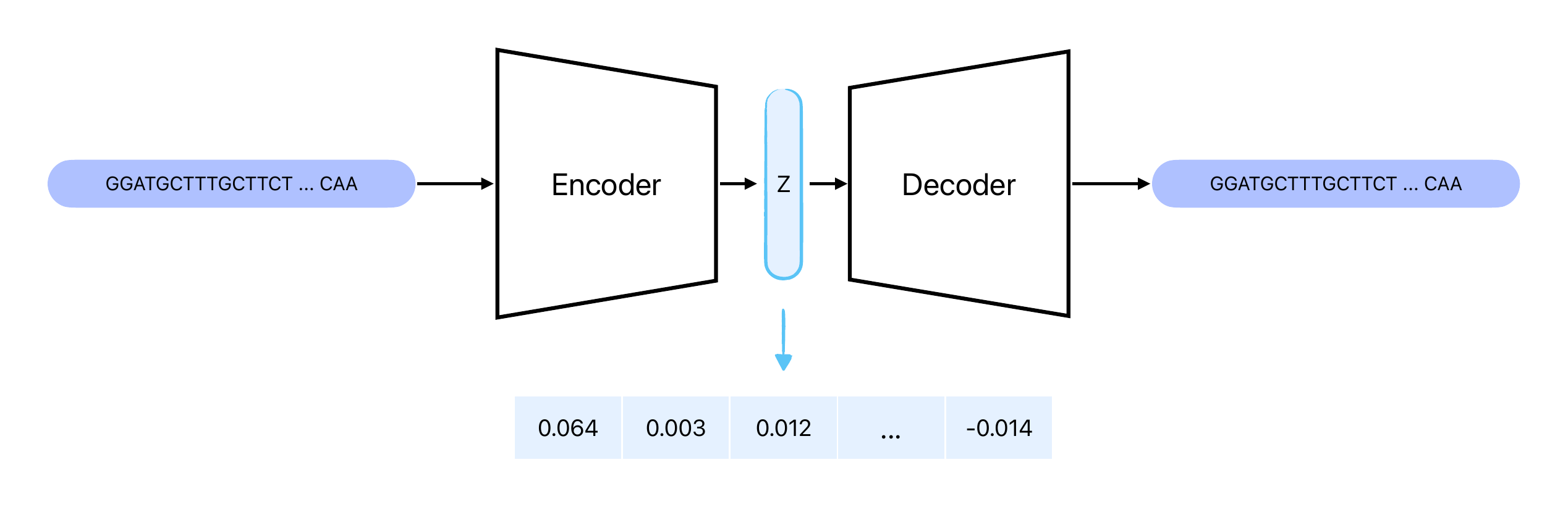 embedding