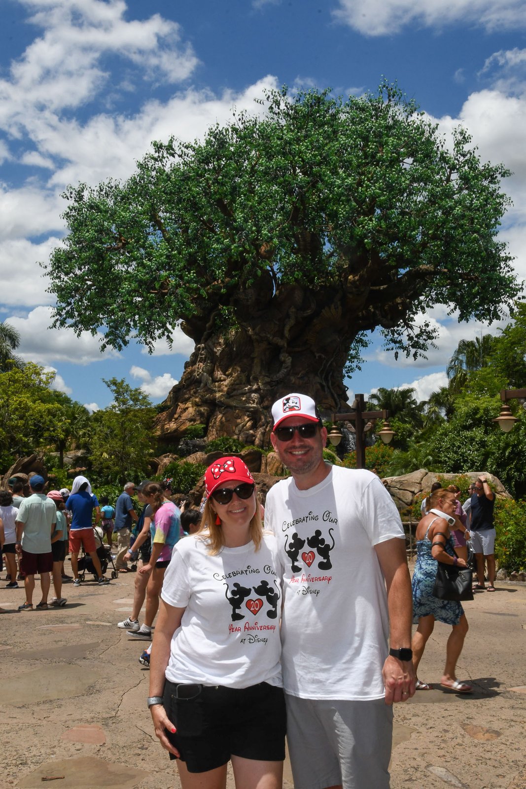 The Tree of Life fills the frame at Disney's Animal Kingdom — its carved trunk and sprawling green canopy against a bright blue sky, with a couple standing small in the foreground on Discovery Island.