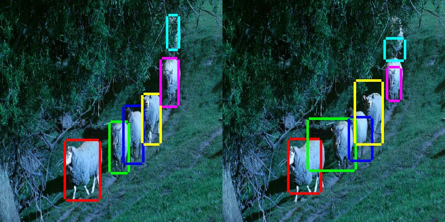 object_detection1