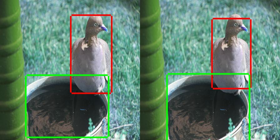 object_detection3