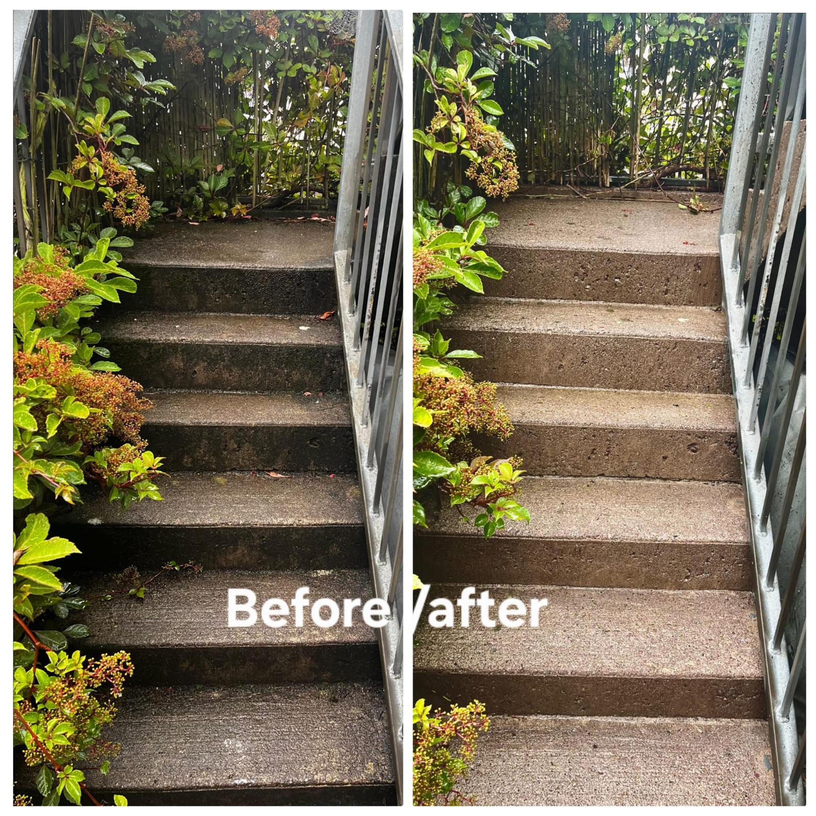 Before and after pressure washing of garden steps, County Cork