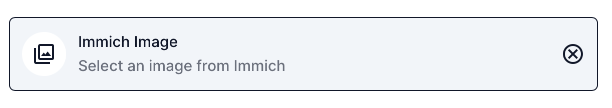 Immich Image field interface