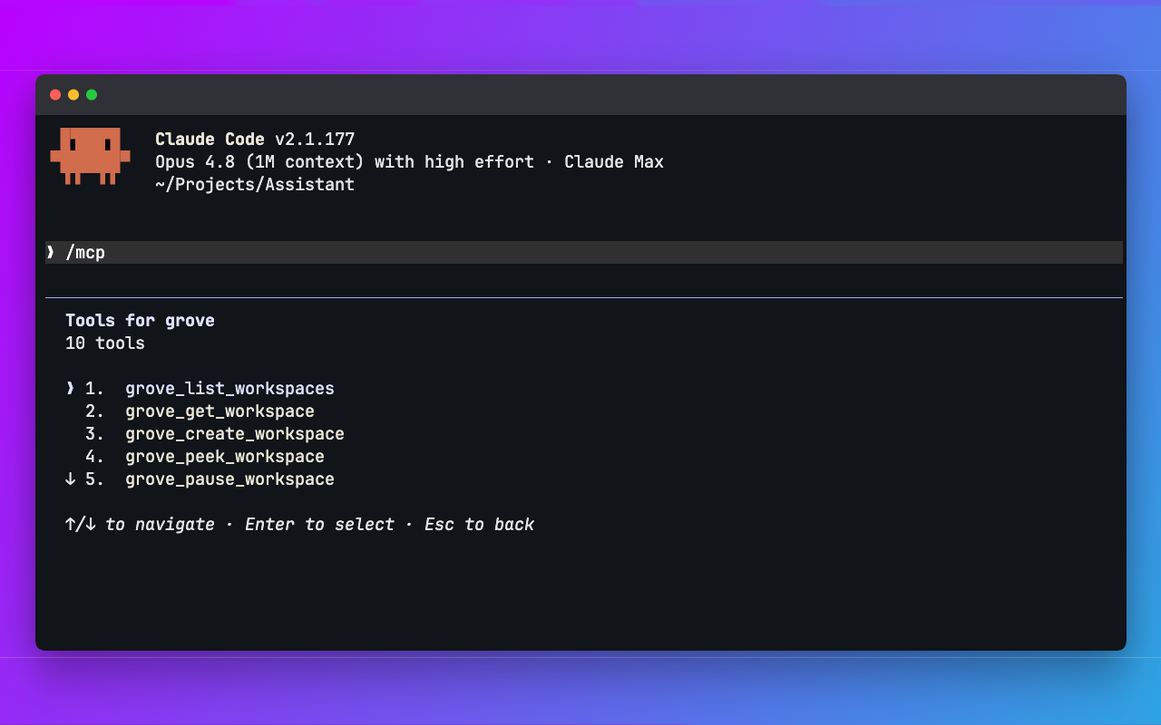 Claude Code listing Grove's MCP tools for creating, listing, inspecting, pausing and steering workspaces